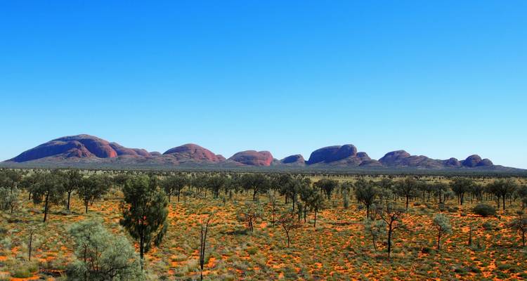 Outback Contrasts (2025/2026) - Inspiring Journeys 4