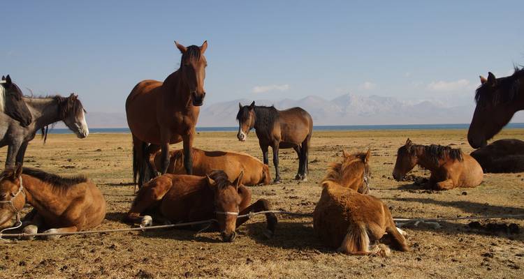 Kazajstán - Kirguistán: En el Tien Shan - Visita guiada privada - Ventus Touristik GmbH 1
