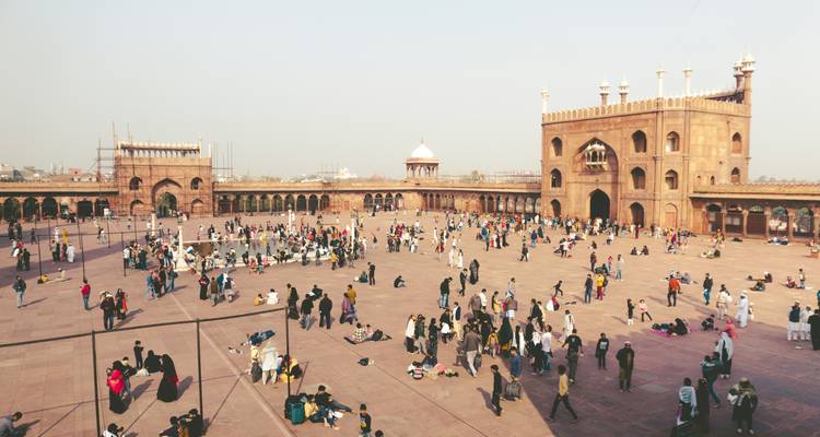 Ranthambore Wildlife & Golden Triangle Tour: 7 Days of Exploration - Edshil Tours  7