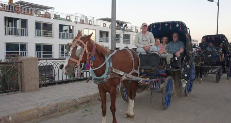 Enjoy 2-nights Nile cruise from Aswan to Luxor - Egypt cruise travel 8