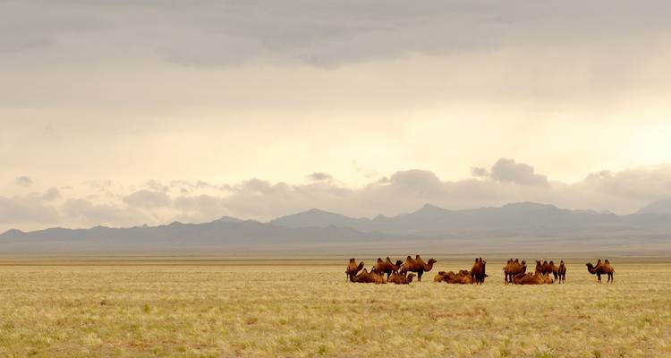 Mongolie - Voyage vers les points forts - Voyage privé guidé - Ventus Touristik GmbH 1