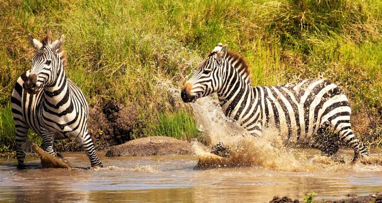 Rêves de safari dans le sud du Kenya - DIAMIR Erlebnisreisen 3