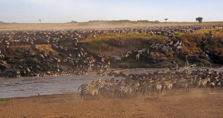 Rêves de safari dans le sud du Kenya - DIAMIR Erlebnisreisen 4