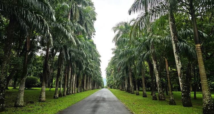 Aventure ultime au Sri Lanka - Exotic Perla 3