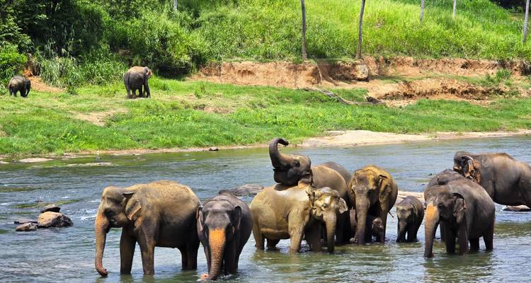 Aventure ultime au Sri Lanka - Exotic Perla 4