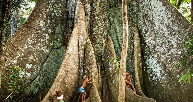 En el corazón de la selva amazónica brasileña - We Travel Discovery 4