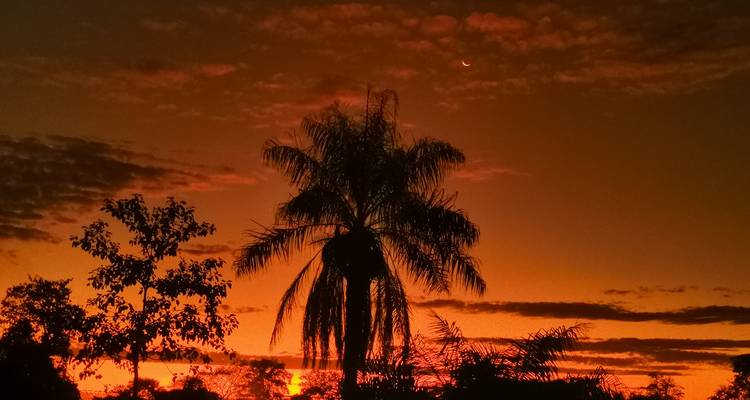 Aventure tout compris dans le nord du Pantanal pour apercevoir le jaguar - We Travel Discovery 9