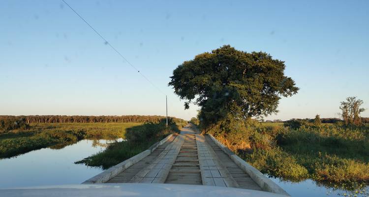 Aventure tout compris dans le nord du Pantanal pour apercevoir le jaguar - We Travel Discovery 7