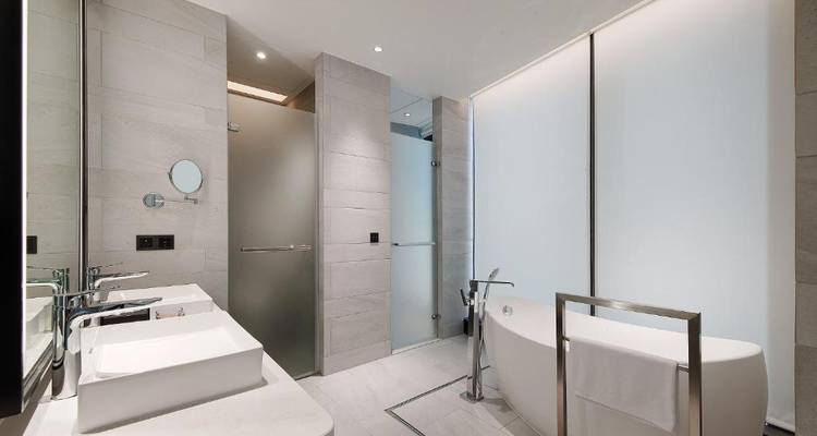 Salle de bain moderne avec un design épuré et du verre dépoli.