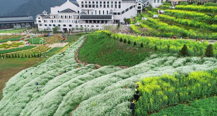 3D2N Hanoi to Sapa Tour Adventure : Cat Cat Village, Fansipan Peak & Moana Check-in Point - Up Travel Vietnam 10
