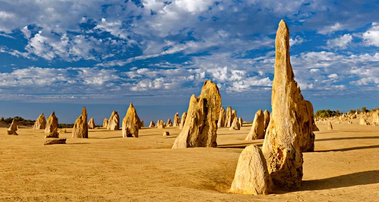 Les impressionnantes aiguilles calcaires des Pinnacles s'élèvent du sable doré du désert sous un ciel bleu éclatant parsemé de nuages.