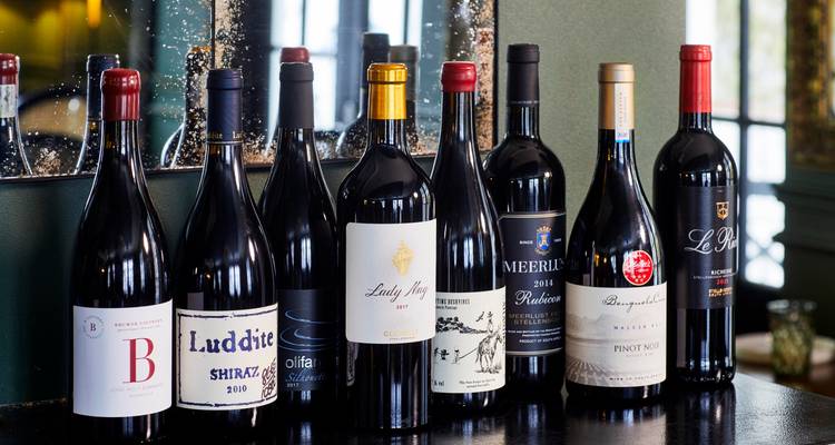 Dégustation privée et exclusive de vins dans les vignobles du Cap - T.S TOURS 3