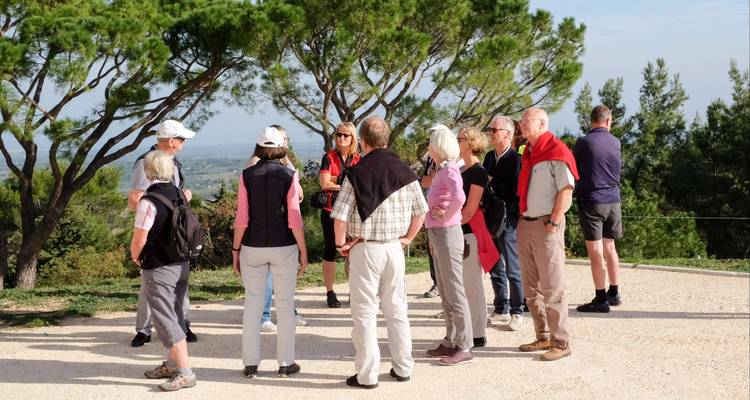 Puglia guided-Ebiketour | Italie : Entre la mer Adriatique et la mer Ionienne | 8 jours - Terranova Touristik 8