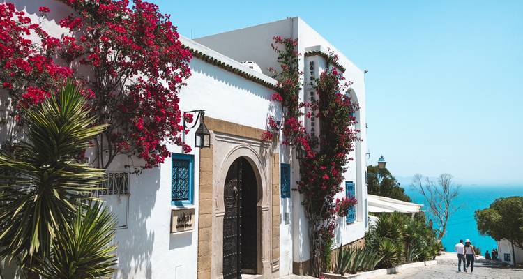 Lo más destacado de Túnez desde/hasta Túnez - Visita guiada privada - Ventus Touristik GmbH 1