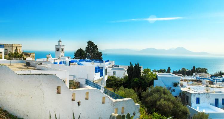 Lo más destacado de Túnez desde/hasta Túnez - Visita guiada privada - Ventus Touristik GmbH 2