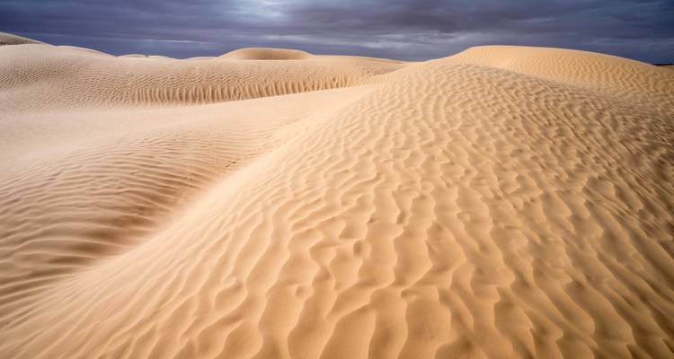 Lo más destacado de Túnez desde/hasta Túnez - Visita guiada privada - Ventus Touristik GmbH 3