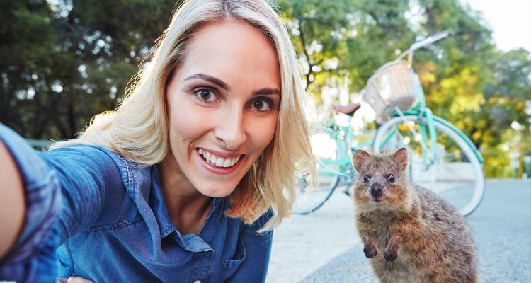 Perth and Fremantle City Tour (incl. Rottnest Island and Swan River Cruise) - WA NT TOURS 6