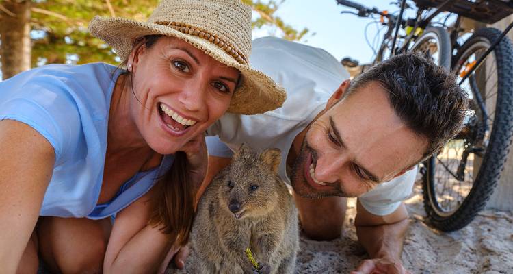 Quokkas Delight Rottnest Island - WA NT TOURS 2