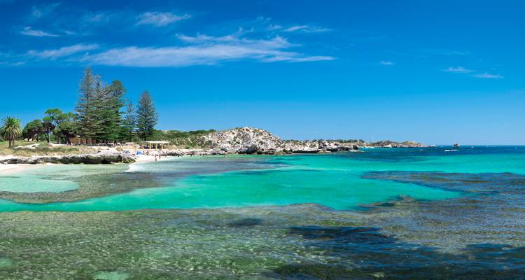 Quokkas Delight Rottnest Island - WA NT TOURS 4