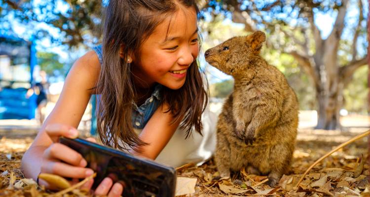 Quokkas Delight Rottnest Island - WA NT TOURS 7