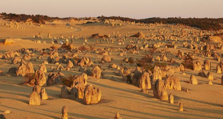 Pinnacles Tour Express - WA NT TOURS 4