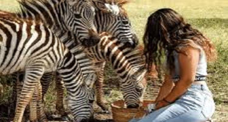 Nourrir les animaux Tanzania Safari Adventures - Kilingeadventures 2