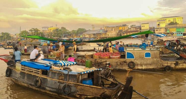 HCMC: Mercado Flotante de Cai Rang y Excursión Privada por el Delta del Mekong - Lavyla Tourist 6
