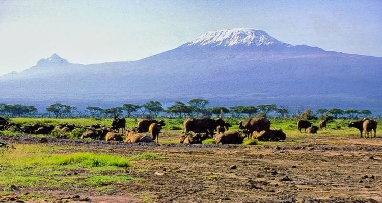 Aventura Safari en Kenia 5Días/4Noches (confort Plus ) - Across Africa Tours & Travel 3