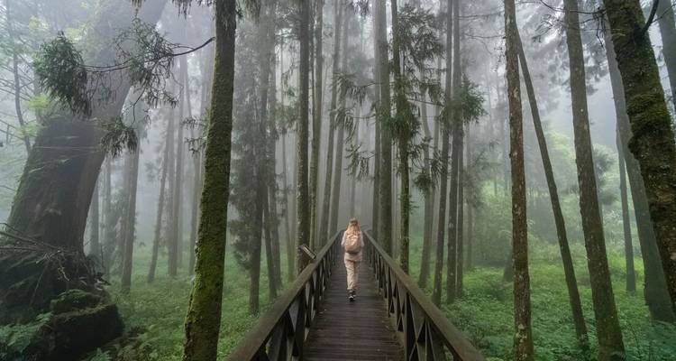 Explorez Taïwan (12 destinations) - Intrepid Travel 2