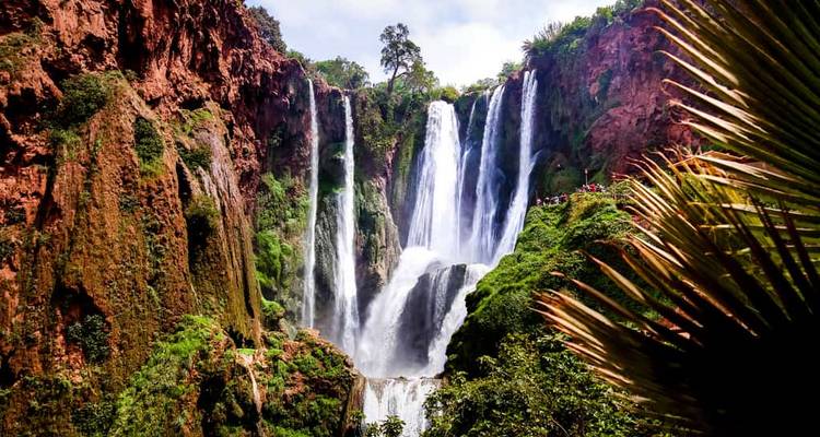 Cascades dans une zone forestière avec de hautes falaises.