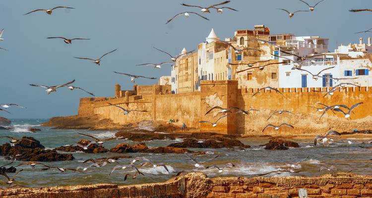 Essaouira Marruecos Excursión privada de 1 día desde Marrakech - Moroccan Best Tours 2