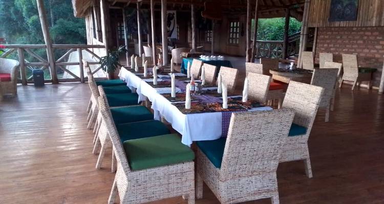 4 jours de randonnée au Rwanda pour les gorilles - Oasis Safaris Limited 6