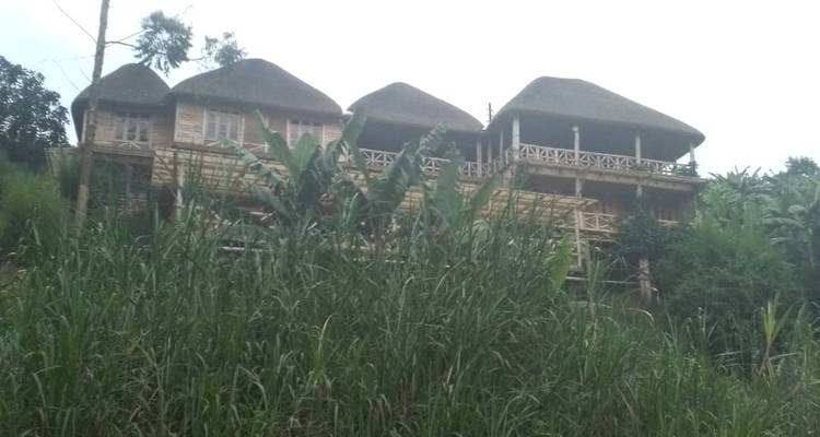 4 jours de randonnée au Rwanda pour les gorilles - Oasis Safaris Limited 7