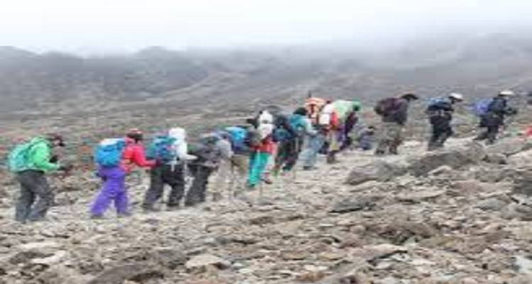 Marangu Trekking: Ruta del Kilimanjaro Circuito de 1 día - Kilingeadventures 1