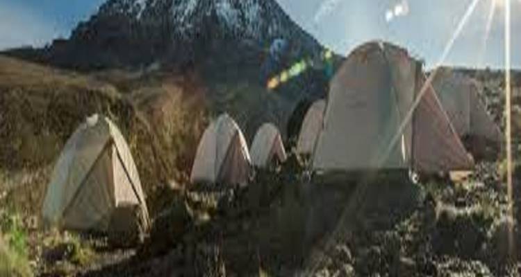 Marangu Trekking: Ruta del Kilimanjaro Circuito de 1 día - Kilingeadventures 2