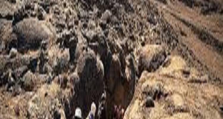 Marangu Trekking: Ruta del Kilimanjaro Circuito de 1 día - Kilingeadventures 3