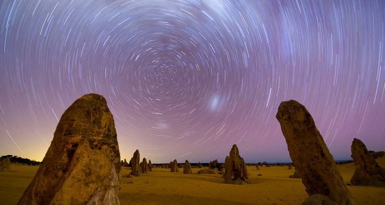 Pinnacles and Sea Lions Adventure - WA NT TOURS 1