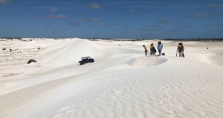 Pinnacles and Sea Lions Adventure - WA NT TOURS 3