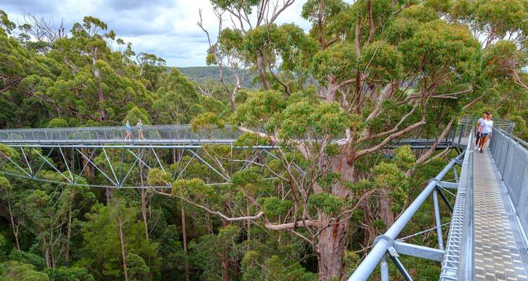 Points forts de l'Australie occidentale : Forfait Côte de l'Outback et Rocher des Vagues - WA NT TOURS 4