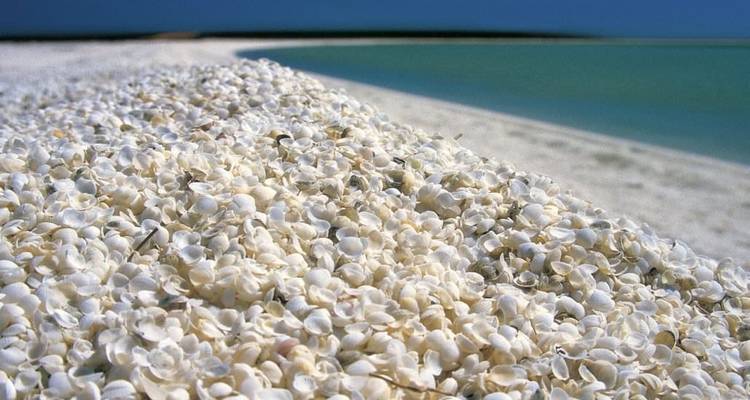 Points forts de l'Australie occidentale : Forfait Côte de l'Outback et Rocher des Vagues - WA NT TOURS 9