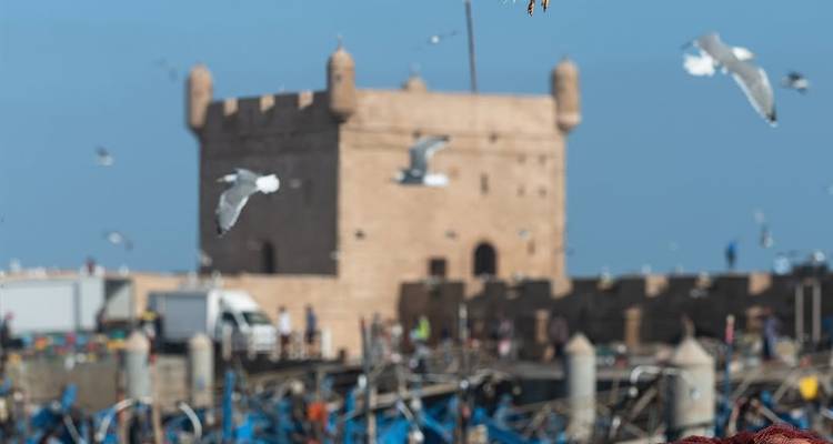 Pájaros volando sobre un puerto con un fuerte antiguo al fondo.