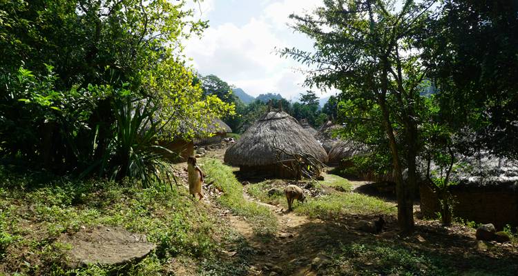 Recorre los Caminos Inca y Maya: Perú, Colombia y Guatemala - Unu Raymi Expeditions 2