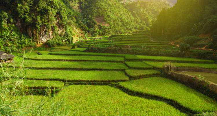 Circuit de 13 jours : Les couleurs du Vietnam - Maika Tours 6