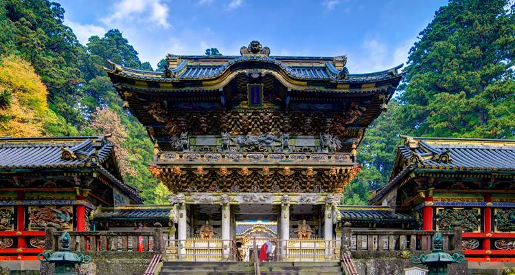 Puerta ornamentada de un templo japonés tradicional rodeado de árboles.