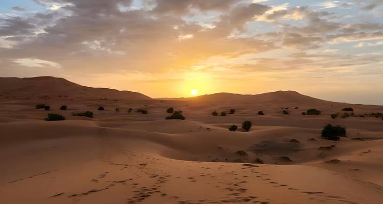 Viaje Privado de 10 Días a Marruecos: De Tánger al desierto del Sáhara con final en Marrakech - Morocco Flawless Travels 8