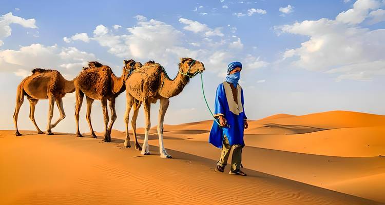 Aventure privée de 4 jours dans le désert du Sahara : Aller-retour de Marrakech - Morocco Flawless Travels 6
