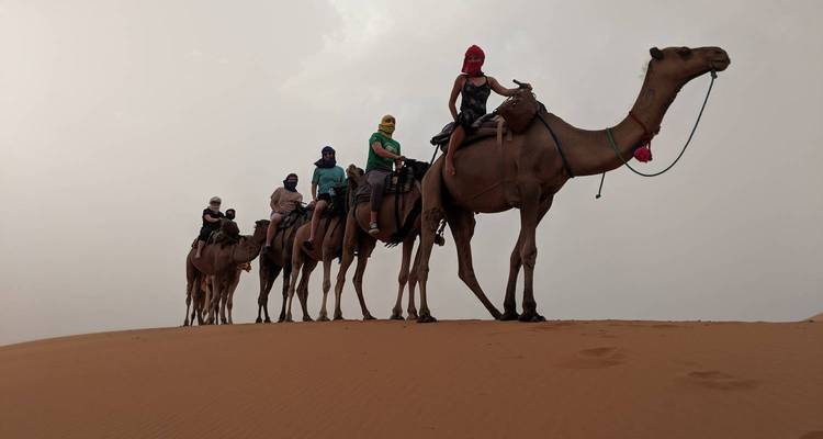 3 Days To Sahara Desert Of Erg Chigaga Tour From Marrakech - Morocco Flawless Travels 3