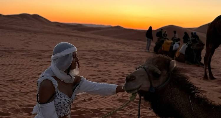 Person, die bei Sonnenuntergang in der Wüste mit einem Kamel interagiert.