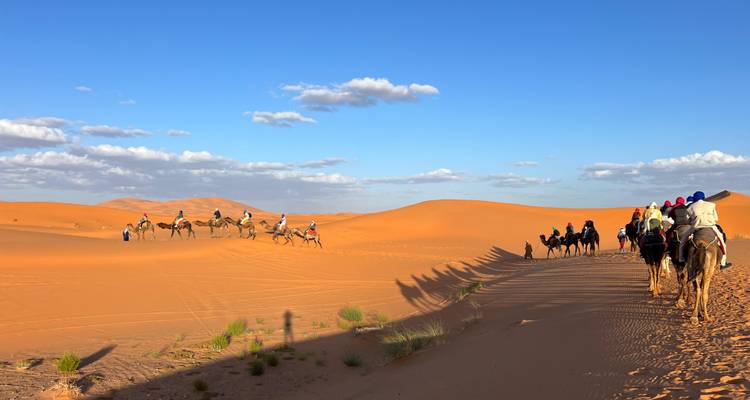 A line of camels walking through the sandy dunes of a desert.
