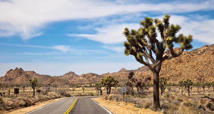 Real San Francisco to LA (9 destinations) - Intrepid Travel 4